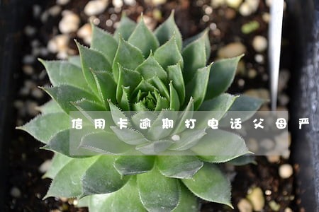 信用卡逾期打电话父母严重吗 信用卡逾期打电话父母严重吗