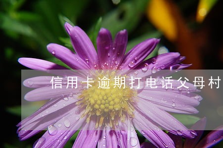 信用卡逾期打电话父母村委会 信用卡逾期打电话父母村委会