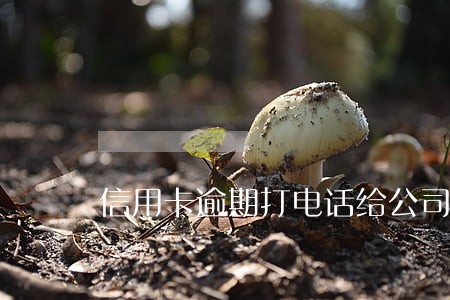 信用卡逾期打电话给公司 信用卡逾期打电话给公司