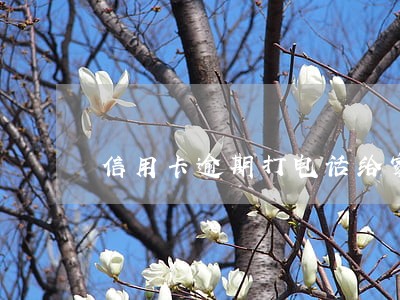 信用卡逾期打电话给家人违法吗 信用卡逾期打电话给家人违法吗