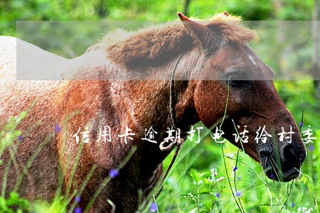 信用卡逾期打电话给村委会 信用卡逾期打电话给村委会