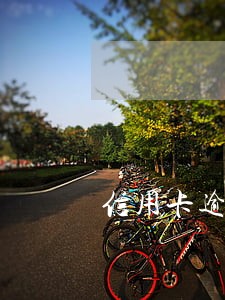 信用卡逾期打电话给老家 信用卡逾期打电话给老家