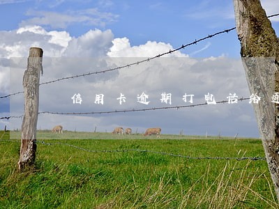 信用卡逾期打电话给通讯录吗 信用卡逾期打电话给通讯录吗
