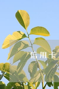 信用卡逾期打电话给银行怎么说 信用卡逾期打电话给银行怎么说