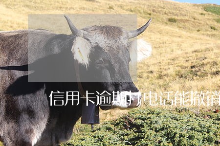信用卡逾期打电话能撤销吗 信用卡逾期打电话能撤销吗