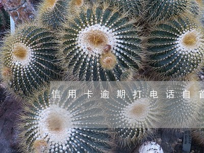 信用卡逾期打电话自首 信用卡逾期打电话自首