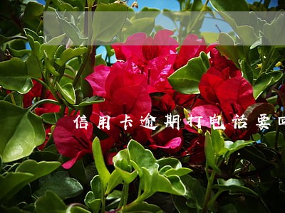 信用卡逾期打电话要回家吗 信用卡逾期打电话要回家吗