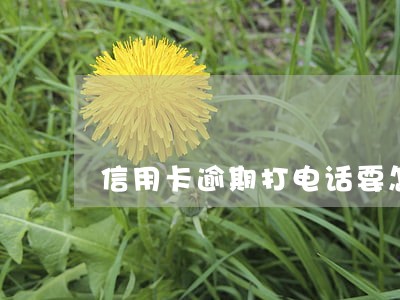 信用卡逾期打电话要怎么回复 信用卡逾期打电话要怎么回复