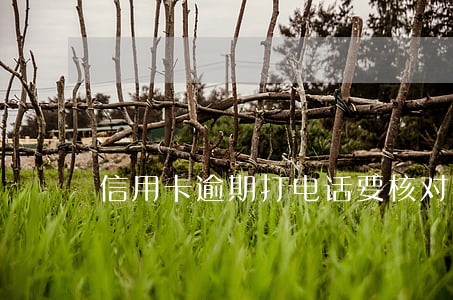 信用卡逾期打电话要核对资料