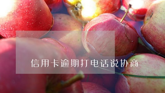 信用卡逾期打电话说协商 信用卡逾期打电话说协商