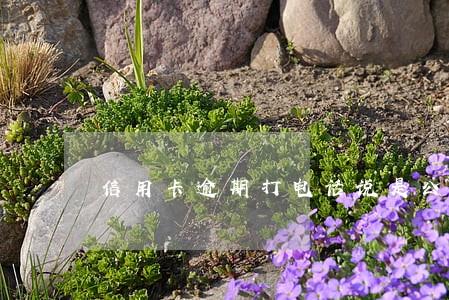 信用卡逾期打电话说是公安