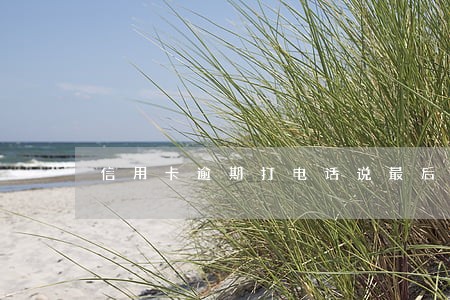 信用卡逾期打电话说最后期限 信用卡逾期打电话说最后期限