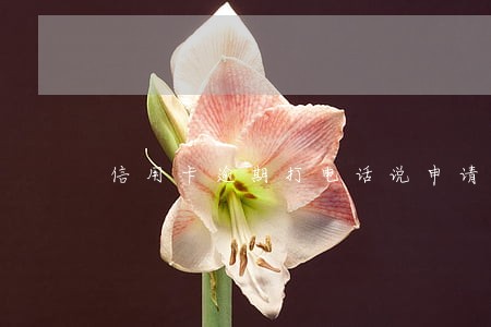 信用卡逾期打电话说申请报案 信用卡逾期打电话说申请报案
