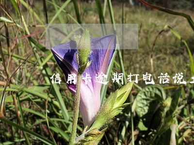 信用卡逾期打电话说立案侦查