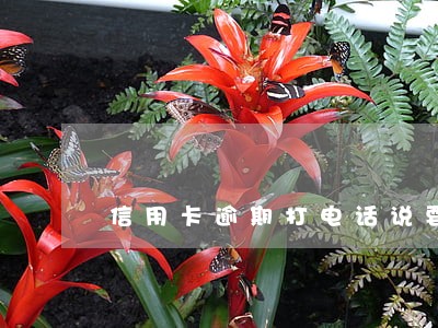 信用卡逾期打电话说要停卡 信用卡逾期打电话说要停卡