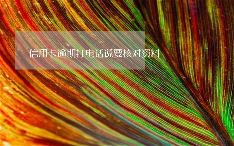 信用卡逾期打电话说要核对资料