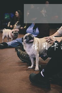 信用卡逾期打电话通知 信用卡逾期打电话通知