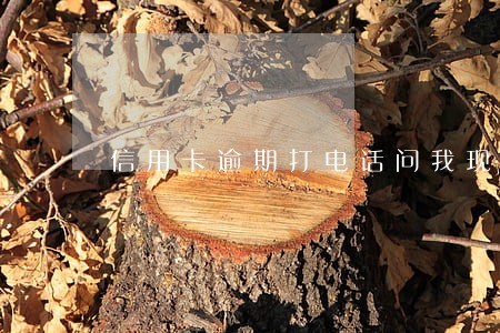 信用卡逾期打电话问我现在地址