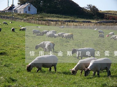 信用卡逾期打电话需要父母地址吗 信用卡逾期打电话需要父母地址吗