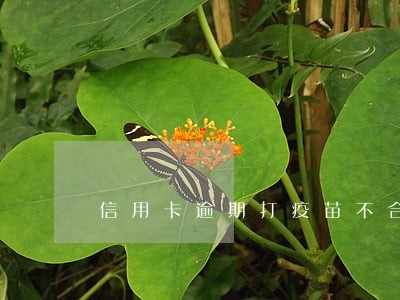 信用卡逾期打疫苗不合法