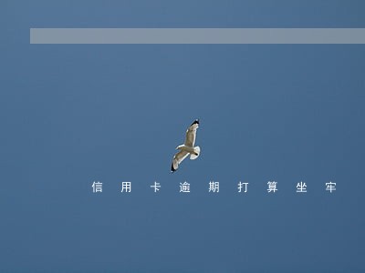 信用卡逾期打算坐牢 信用卡逾期打算坐牢