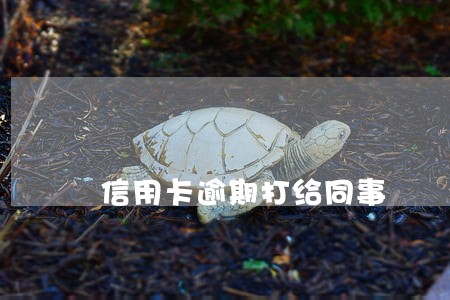 信用卡逾期打给同事