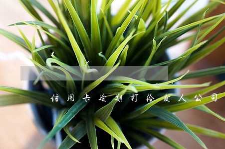 信用卡逾期打给爱人公司领导