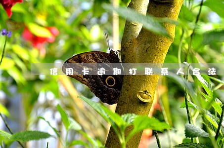 信用卡逾期打联系人合法吗 信用卡逾期打联系人合法吗