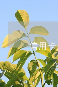 信用卡逾期打那个电话到银行