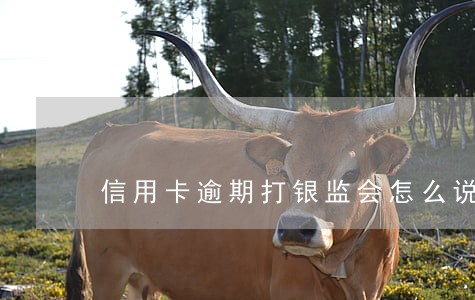 信用卡逾期打银监会怎么说