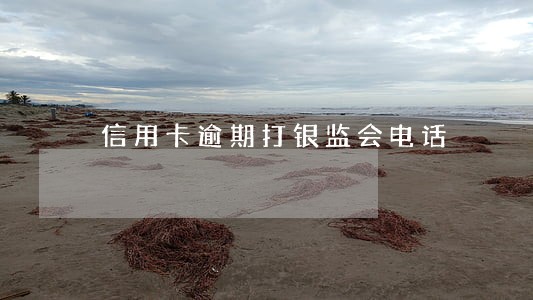 信用卡逾期打银监会电话 信用卡逾期打银监会电话