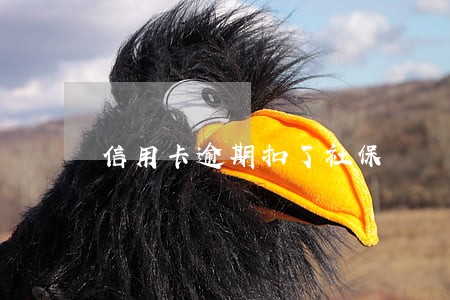 信用卡逾期扣了社保 信用卡逾期扣了社保