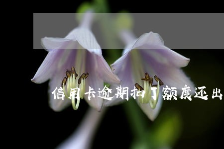 信用卡逾期扣了额度还出账单 信用卡逾期扣了额度还出账单
