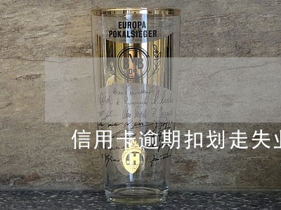 信用卡逾期扣划走失业金 信用卡逾期扣划走失业金