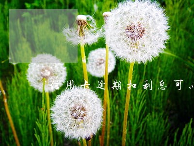 信用卡逾期扣利息可以申报么 信用卡逾期扣利息可以申报么