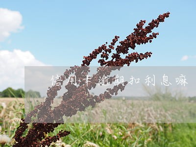 信用卡逾期扣利息嘛 信用卡逾期扣利息嘛