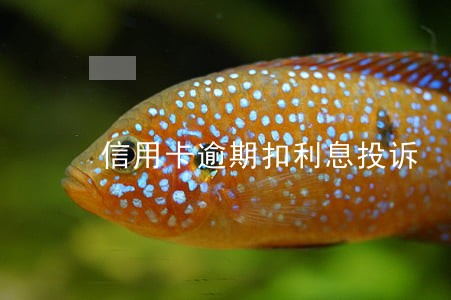 信用卡逾期扣利息投诉 信用卡逾期扣利息投诉