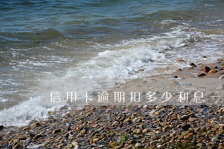 信用卡逾期扣多少利息一次 信用卡逾期扣多少利息一次