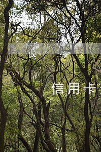 信用卡逾期扣工资怎么办 信用卡逾期扣工资怎么办