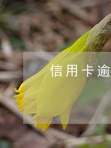 信用卡逾期扣得多 信用卡逾期扣得多