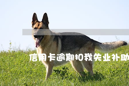 信用卡逾期扣我失业补助金 信用卡逾期扣我失业补助金