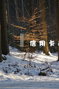 信用卡逾期扣本行储蓄卡 信用卡逾期扣本行储蓄卡