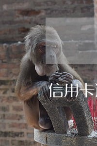 信用卡逾期扣款会自动扣款吗
