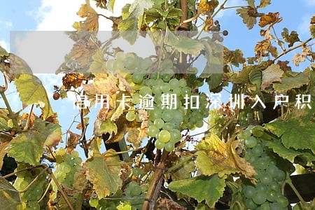 信用卡逾期扣深圳入户积分吗 信用卡逾期扣深圳入户积分吗