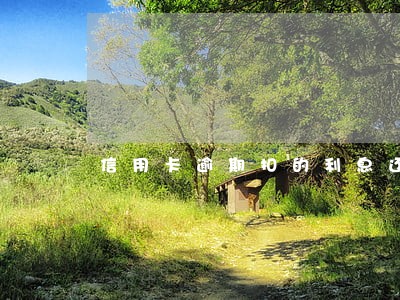 信用卡逾期扣的利息还能要回吗 信用卡逾期扣的利息还能要回吗