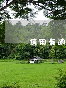 信用卡逾期扣钱会返还 信用卡逾期扣钱会返还