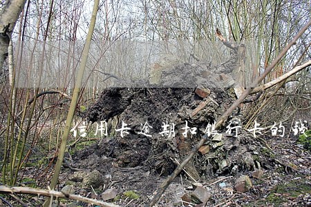 信用卡逾期扣银行卡的钱吗
