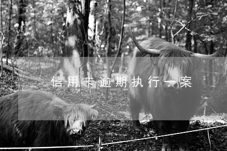 信用卡逾期执行一案