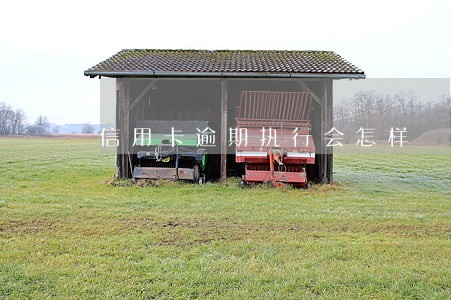信用卡逾期执行会怎样 信用卡逾期执行会怎样