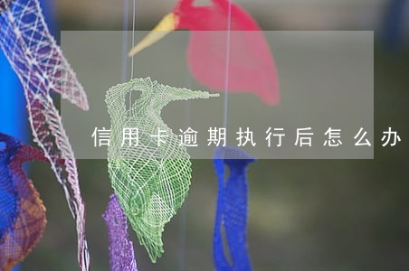 信用卡逾期执行后怎么办 信用卡逾期执行后怎么办